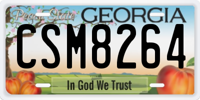 GA license plate CSM8264