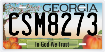 GA license plate CSM8273