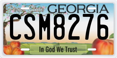 GA license plate CSM8276