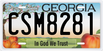 GA license plate CSM8281