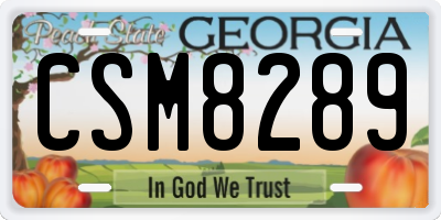 GA license plate CSM8289