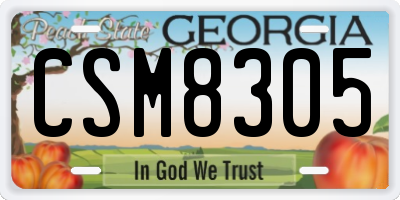 GA license plate CSM8305