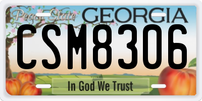 GA license plate CSM8306