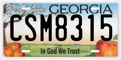GA license plate CSM8315