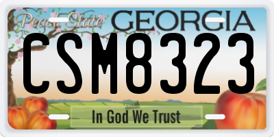 GA license plate CSM8323