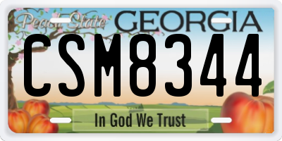 GA license plate CSM8344