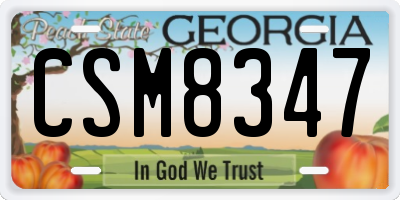 GA license plate CSM8347