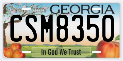 GA license plate CSM8350