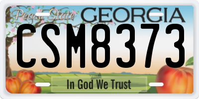 GA license plate CSM8373