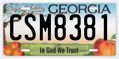 GA license plate CSM8381