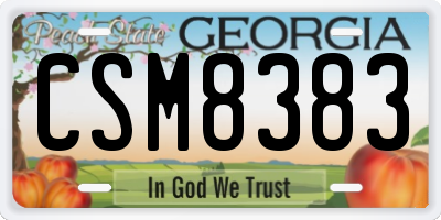 GA license plate CSM8383