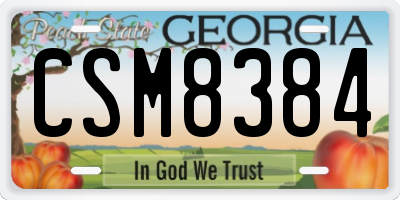 GA license plate CSM8384