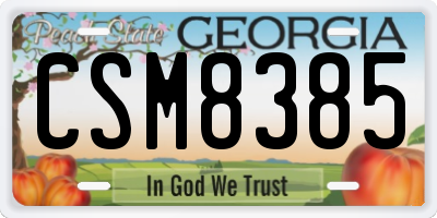 GA license plate CSM8385
