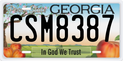 GA license plate CSM8387