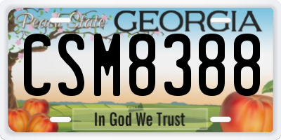 GA license plate CSM8388