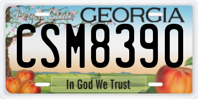 GA license plate CSM8390