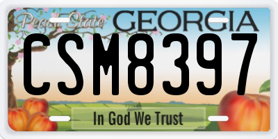 GA license plate CSM8397
