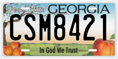 GA license plate CSM8421