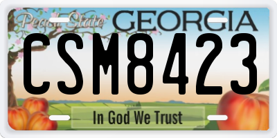 GA license plate CSM8423