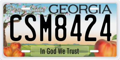 GA license plate CSM8424