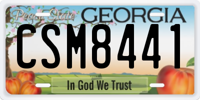 GA license plate CSM8441
