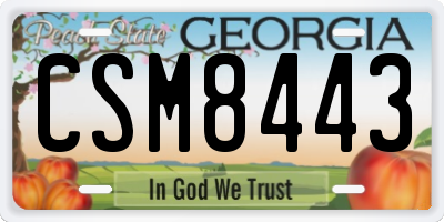 GA license plate CSM8443