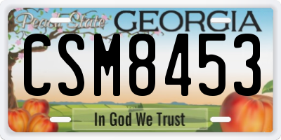 GA license plate CSM8453