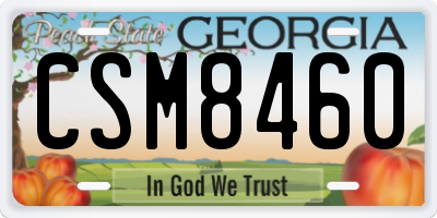 GA license plate CSM8460