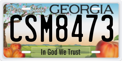 GA license plate CSM8473