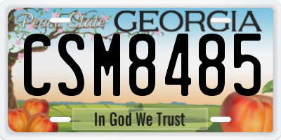 GA license plate CSM8485
