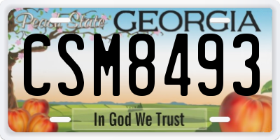GA license plate CSM8493
