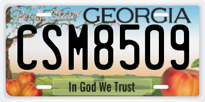 GA license plate CSM8509