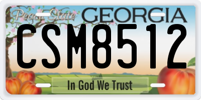 GA license plate CSM8512