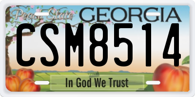 GA license plate CSM8514