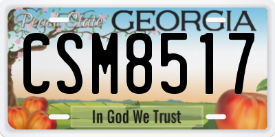 GA license plate CSM8517