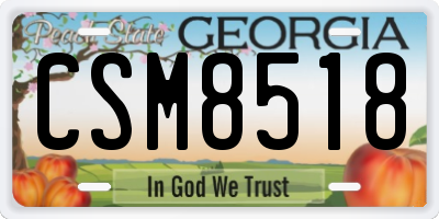 GA license plate CSM8518