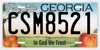 GA license plate CSM8521