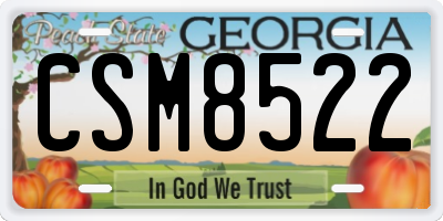 GA license plate CSM8522