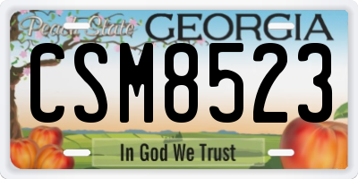 GA license plate CSM8523