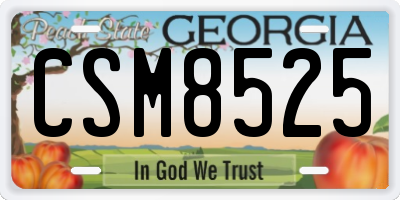 GA license plate CSM8525