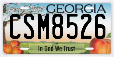 GA license plate CSM8526
