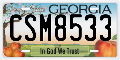 GA license plate CSM8533