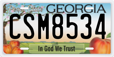 GA license plate CSM8534