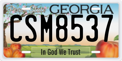 GA license plate CSM8537