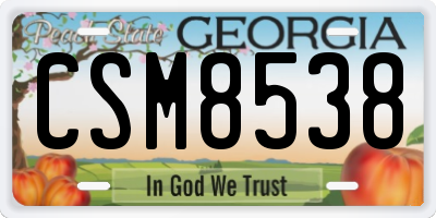 GA license plate CSM8538
