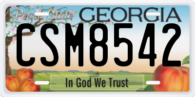 GA license plate CSM8542