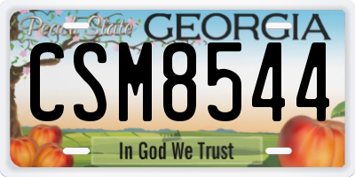 GA license plate CSM8544
