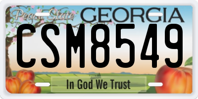 GA license plate CSM8549
