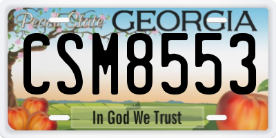 GA license plate CSM8553