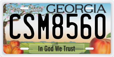 GA license plate CSM8560